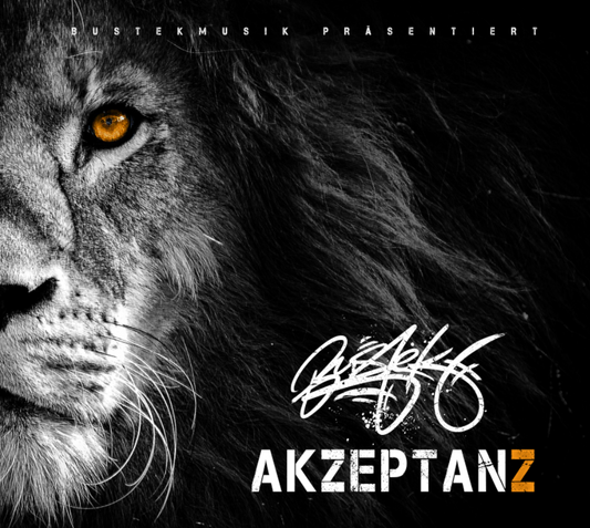 01. MP3 Download - Akzeptanz